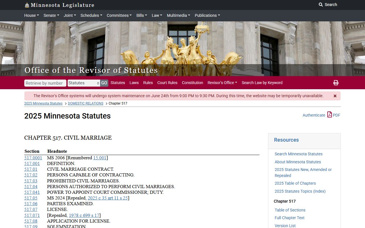 Steele County probate records Minnesota marriage statute distinction